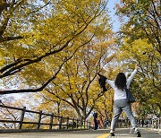 남산 단풍 절정