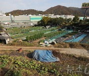 '주택난 숨통 트일까?' 서초구 서리풀지구 미니신도시 조성