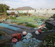 서리풀지구로 발표한 서초구 원지동 일대