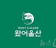 문체부 행감서 관광 플랫폼 앱 ‘왔어울산’ 저조한 이용률 도마 위