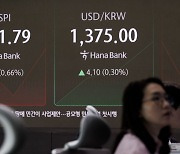 금투세 폐지에도 美 대선 불확실성에 시장은 '관망중'