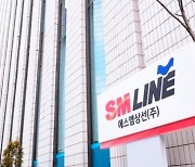 5억에 산 땅 100억에 팔려고 한 SM그룹 2세… 알박기 논란에 “시세 차익 기부”