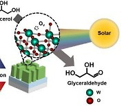 GIST, 장시간 고부가가치 물질 생산 가능한 태양에너지 변환 시스템 개발