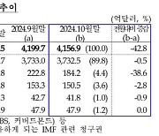 강달러에 10월 외환보유액 4156.9억달러…전월比 42.8억달러 `뚝`