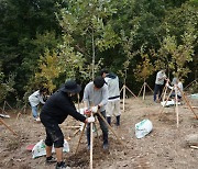 영림원소프트랩·케이엔아이씨, 경주 석굴암 토함산에 260그루 식재