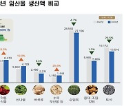 "단기소득임산물 생산액 늘었다"...지난해 전년比 3.9%증가