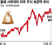 미국 주식 보관액 132조 '사상 최고'… 최애종목은 테슬라