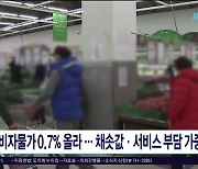 소비자물가 0.7% 올라.. 채솟값·서비스 부담  가중