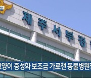 [주요 단신] 길고양이 중성화 보조금 가로챈 동물병원장 입건 외