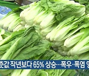 상춧값 작년보다 65% 상승…폭우·폭염 영향