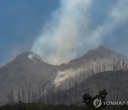 화산폭발에 아수라장…"비상사태 선포"