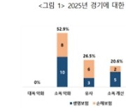 보험사 CEO 10명 중 5명 "내년 경기 소폭 악화" 전망