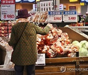 토마토·호박·돼지고기 가격 강세…“배추·무 등 이달 중순 평년 수준으로 하락”