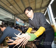 대게의 계절이 돌아왔다…영덕대게 올해 첫 위판