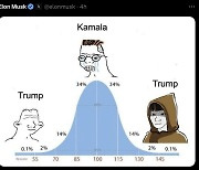"이게 무슨 뜻?" 머스크 SNS에 올린 그래프 뭐길래..