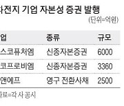 2차전지 기업, 영구채로 자금조달 잇달아