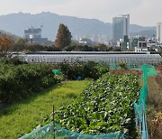 서울서 12년만에 풀었다…서초 그린벨트에 2만가구 미니 신도시