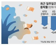 배당주 계절 왔지만…은행株 '우수수'