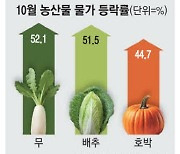 식품·에너지 뺀 물가도 1%대 … '밥상 물가'는 여전히 불안