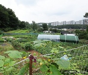 강남 빠진 GB 해제, 전문가 공통 반응은…"당장 집값 잡긴 어려워"