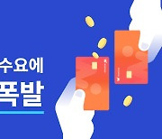 와우패스, 외국인 ‘더치페이’ 돕는 신기능 이용 50만건 돌파