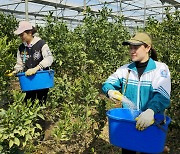 인권위, ‘외국인 계절근로자 인신매매 피해’ 첫 제도개선 권고