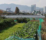 이 정도로 집값 잡기 힘들다…“강남은 ‘로또분양’ 될 것” [부동산360]