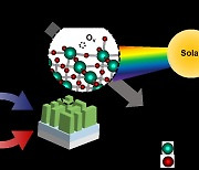 “못하는게 없는 태양에너지” 산업폐기물로 ‘항생제’ 원료 만든다