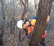 양산시 "소나무재선충병 방제 청정지역 회복에 나섰다"