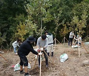 영림원소프트랩-케이엔아이씨, 경주 토함산에 나무 260그루 식재