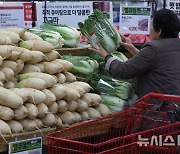 김장물가 고공행진, 배추·무 10월에 50% 올라