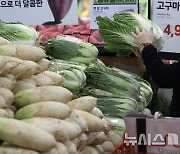 김장물가 고공행진, 배추·무 10월에 50% 올라