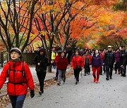 "자연·문화 가득" 정읍, SRT매거진 '2025 방문 도시' 뽑혔다