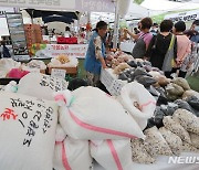 전북 농관원, 햅쌀 출하 시기 맞춰 '양곡 표기 특별단속'