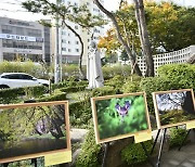 "대구의 보물을 환경부가 망치려 한다는 소식에 충격"