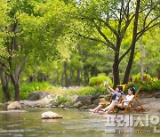 순천시, 대한민국 대표 여름 휴가지 자리매김…먹거리·볼거리 '만족'