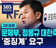 [D리포트] 문체부, 정몽규 대한축구협회장 '중징계' 요구