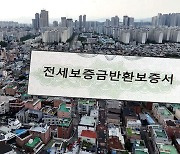 사기 당했는데 보증마저…"독소 약관 고쳐라"