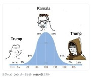 IQ 평균은 해리스에게, 높거나 낮으면 트럼프에게?…머스크 SNS 보니