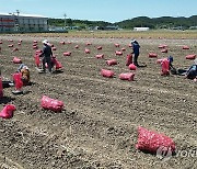 인권위 "외국인 계절근로자 인신매매 피해"…제도 개선 권고