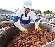 인류무형문화유산 등재 확실시되는 '장 담그기 문화'