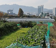 서울시·수도권 그린벨트 해제