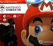 Japan Earns Nintendo