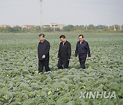 CHINA-HUBEI-XI JINPING-INSPECTION (CN)