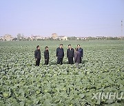 CHINA-HUBEI-XI JINPING-INSPECTION (CN)