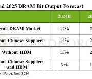 트렌드포스 "D램 4Q 가격 상승세 둔화…中 공급량 공격적"