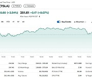 트럼프 당선 기대, 테슬라 간만에 3.54% 급등