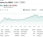 실적 실망+보고서 미제출, 슈퍼 마이크로 17% 폭락(종합)