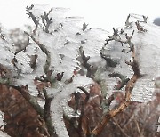 내일은 입동, 제주에도 상고대