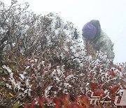 가을에서 겨울로 가는 한라산